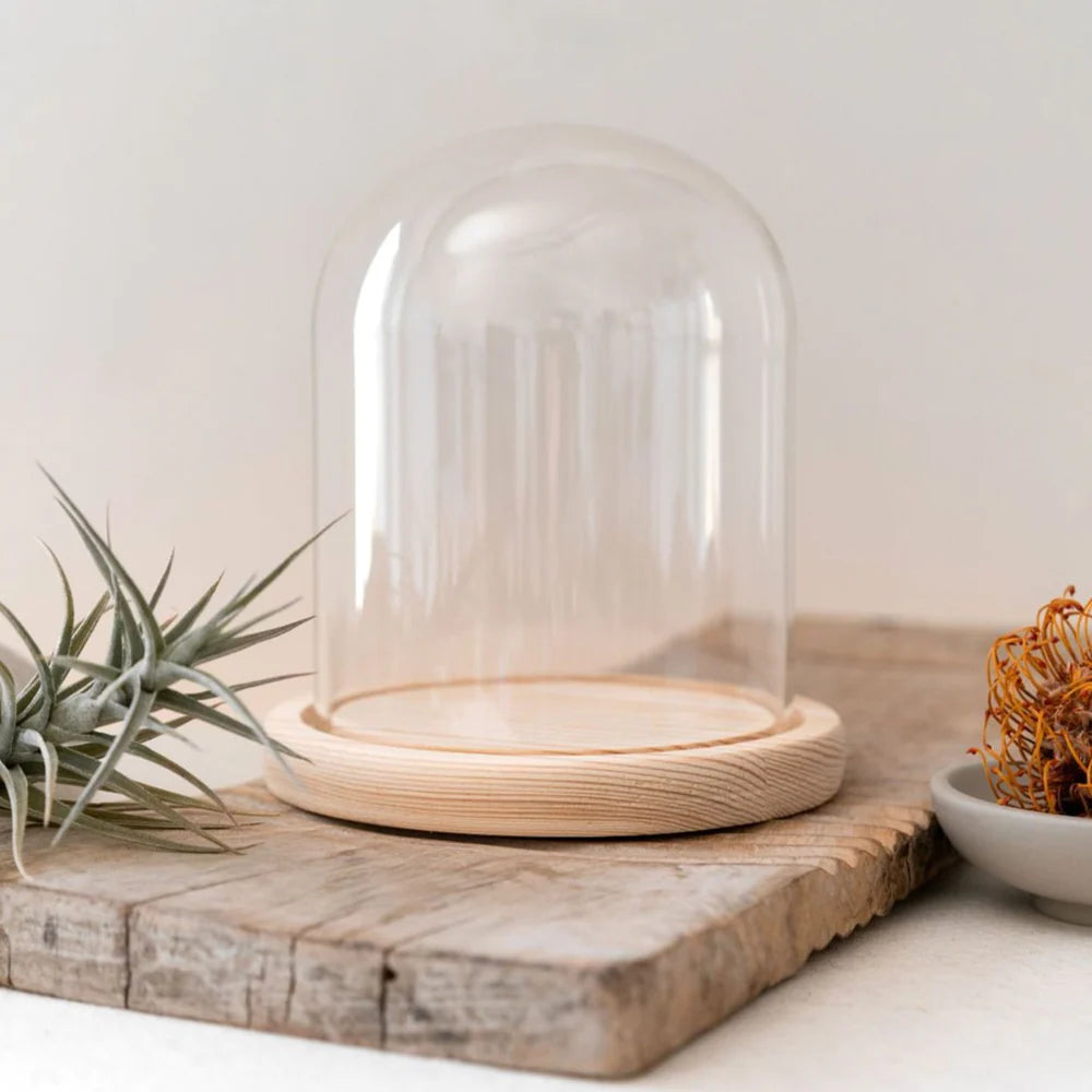 GLASS CLOCHE