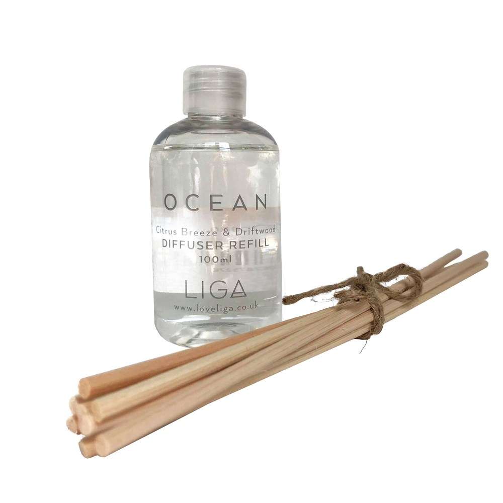Ocean Diffuser | citrus breeze & driftwood fragrance