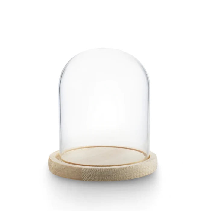 GLASS CLOCHE