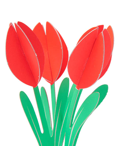 C&M Tulips | Greetings Card