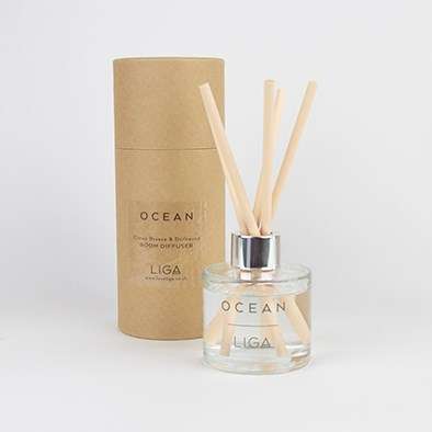 Ocean Diffuser | citrus breeze & driftwood fragrance